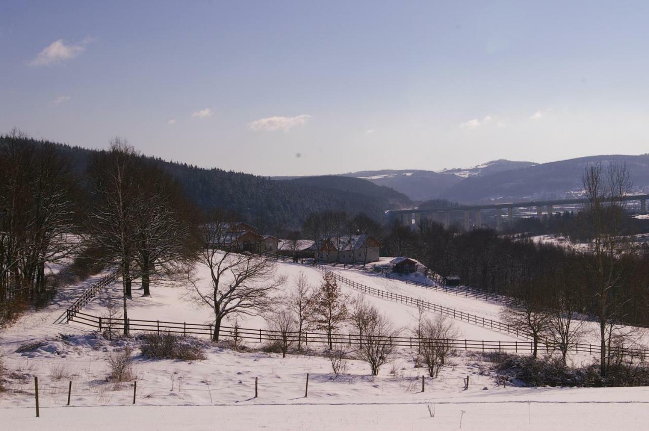 Reiterhof Und Pension Eichenhof Haiger ภายนอก รูปภาพ